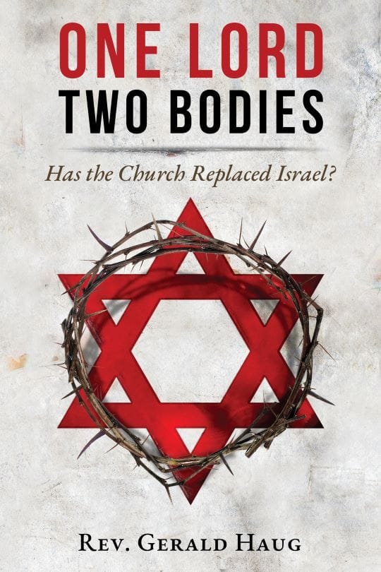One Lord Two Bodies Book Cover
